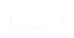 program