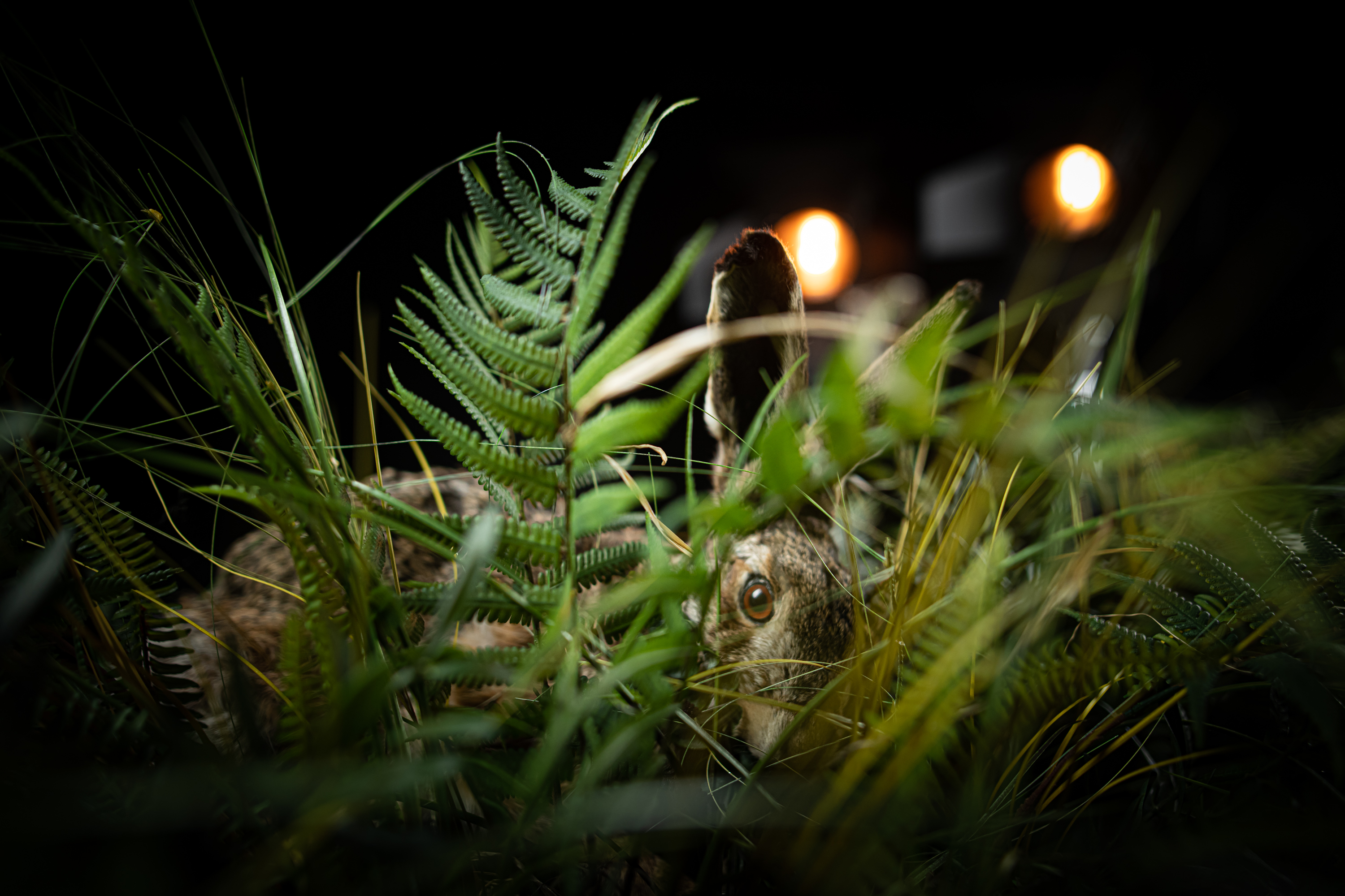 Tin Grabnar: Tihožitje / Photo: Jaka Varmuž